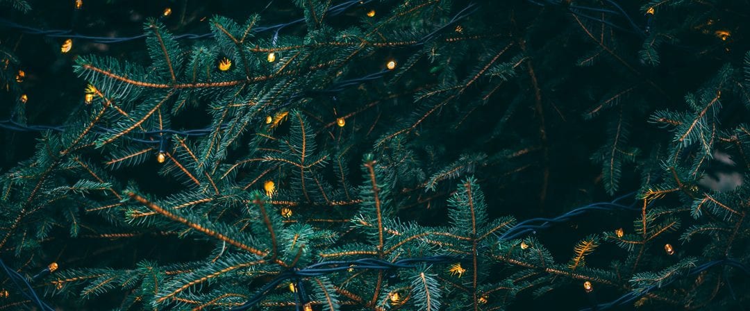 6 Tips For Staying Safe (and sane) This Christmas